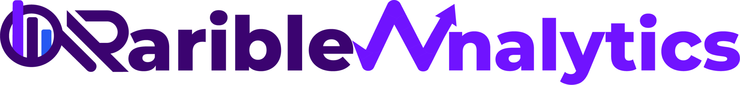 Raible Analytics